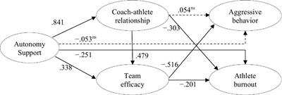 Effects of coaches’ autonomy support on athletes’ aggressive behavior and athlete burnout: verification of the mediating effects of coach-athlete relationship and team efficacy
